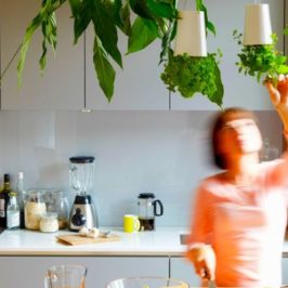Ações ecologicamente corretas na cozinha
